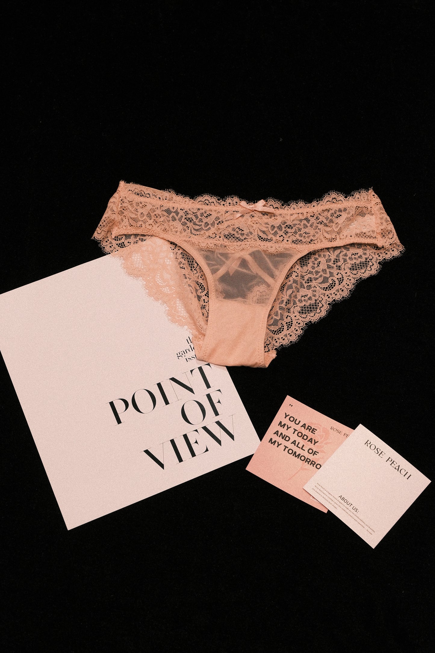 Lace Pink Panty